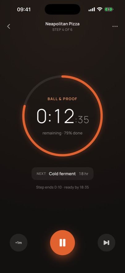 Full-screen countdown for the current step